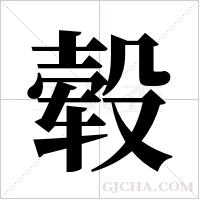 轂