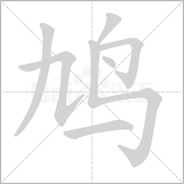 鳩