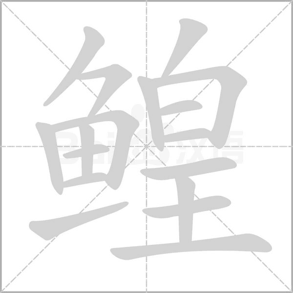 鰉