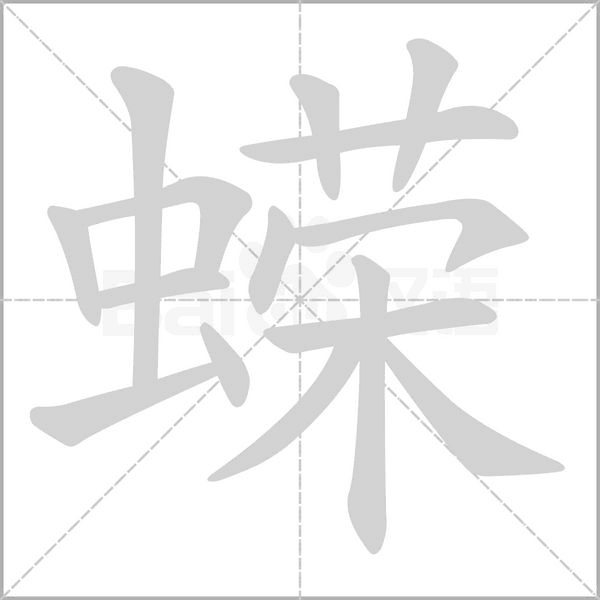 蠑