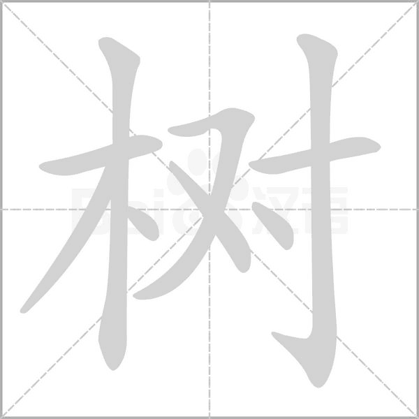 樹(shù)