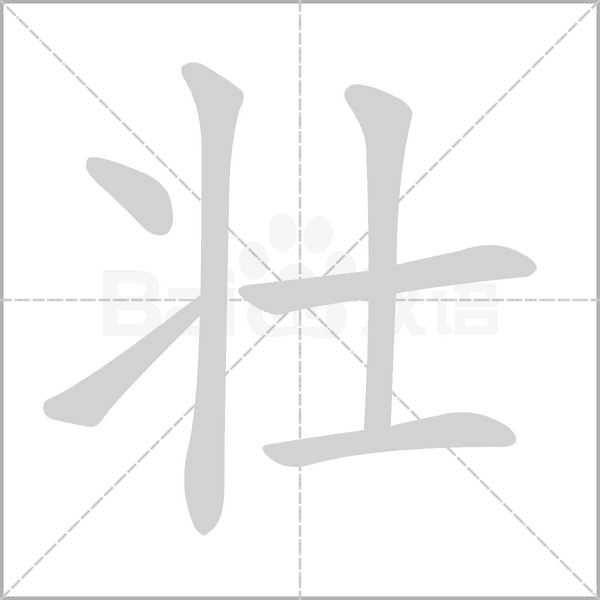 壯