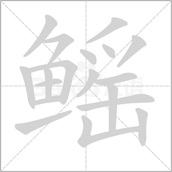 鰩