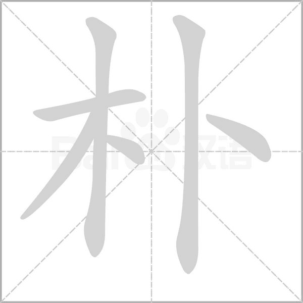 樸