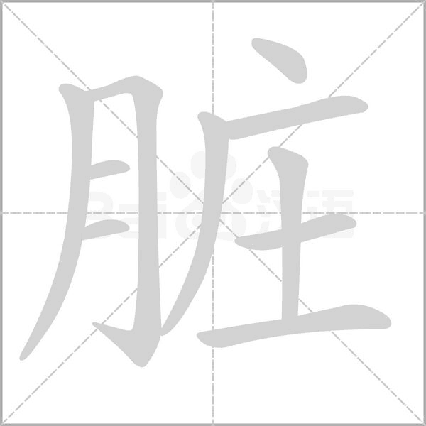 臟