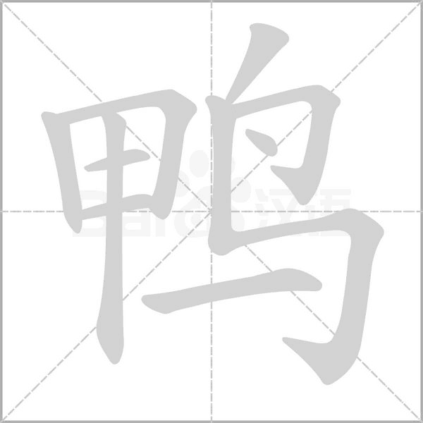 鴨
