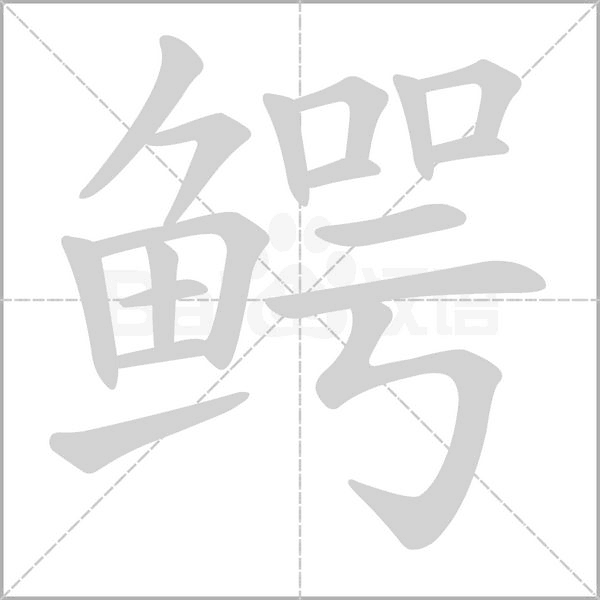 鱷