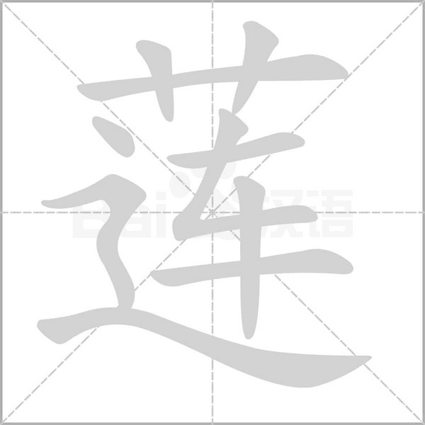 蓮