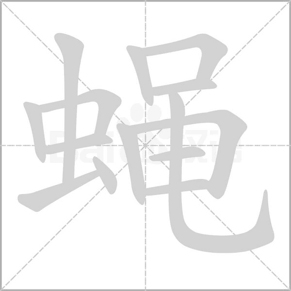 蠅