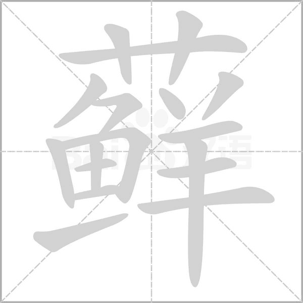 蘚