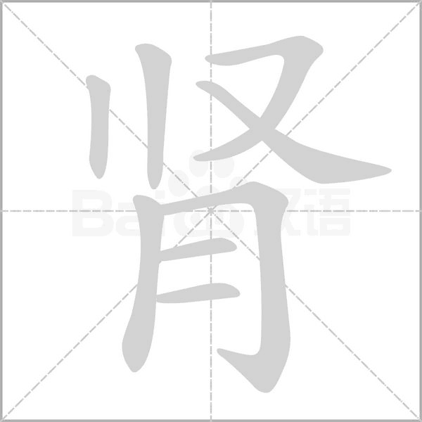 腎
