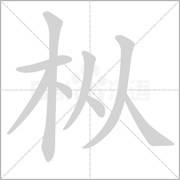 樅