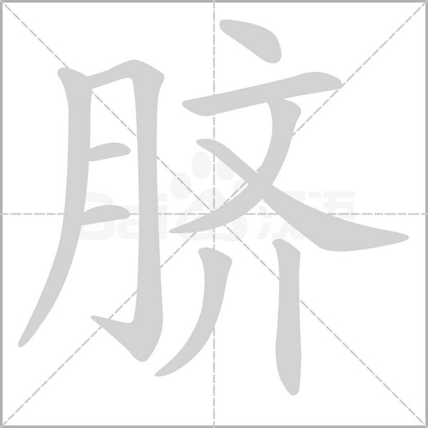 臍