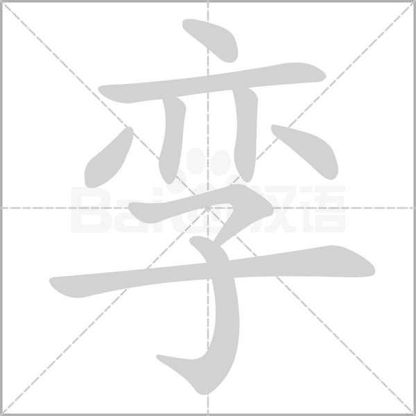 孿