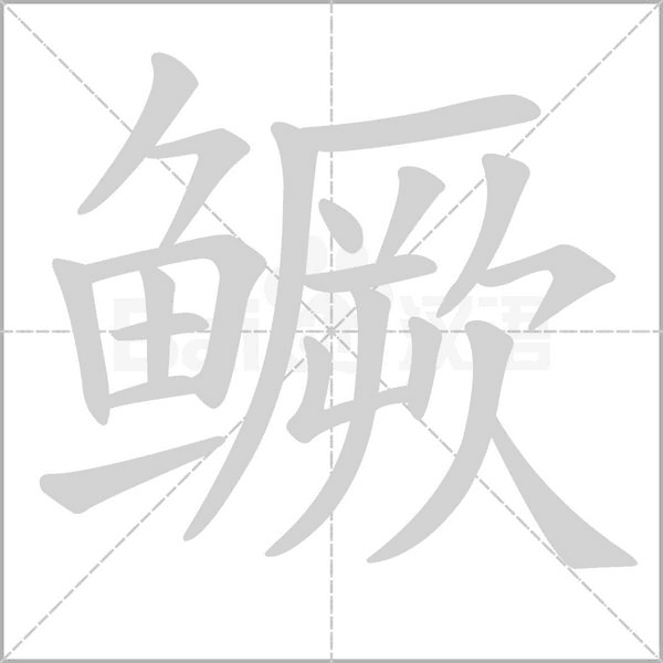 鱖