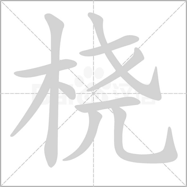 橈