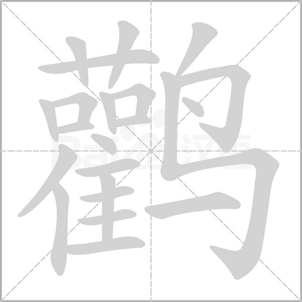 鸛