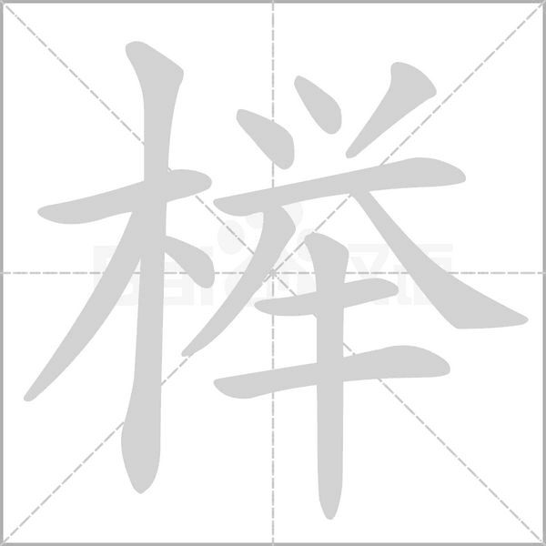 櫸