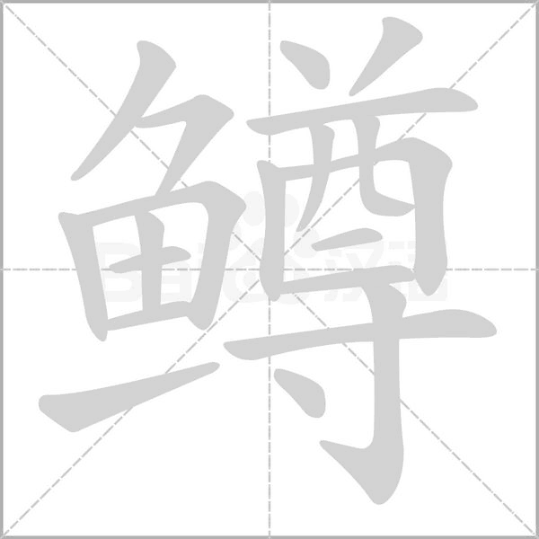 鱒
