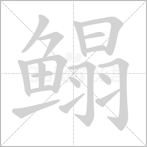 鰨
