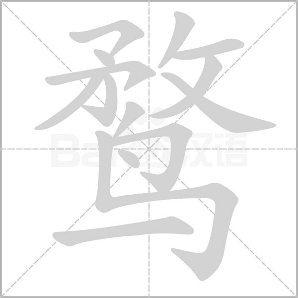 鶩